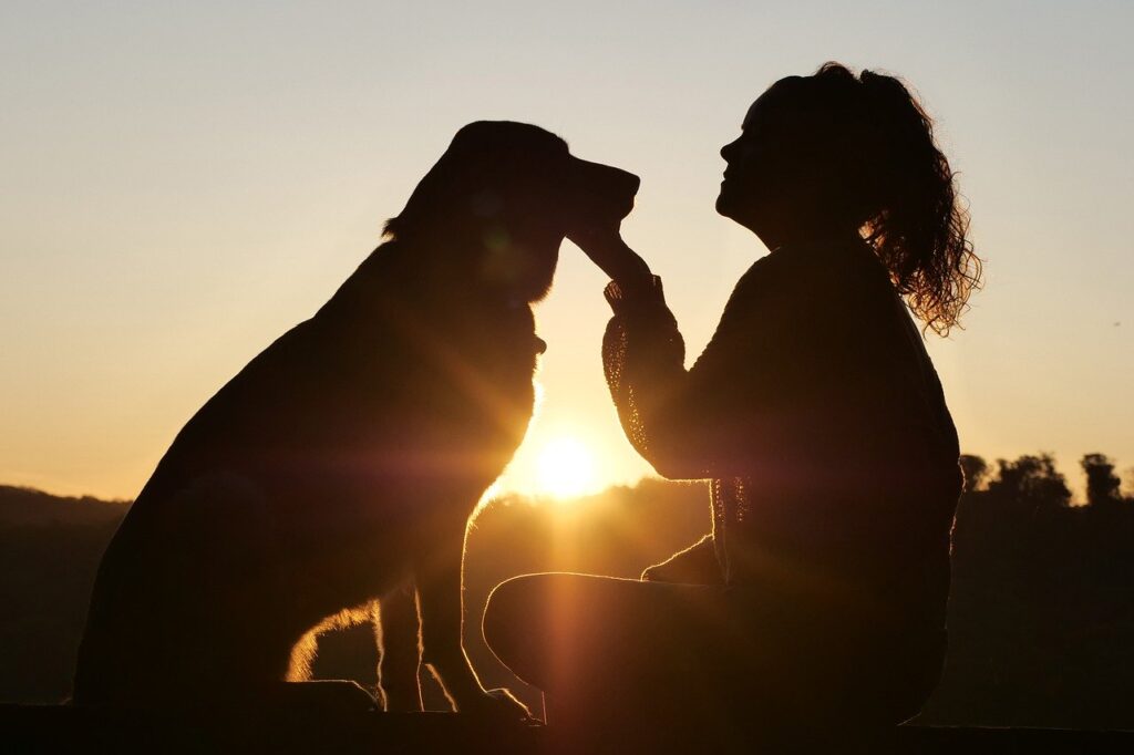 Silhouette of a woman sitting and petting a labrador at sunset, highlighting dog training and bonding